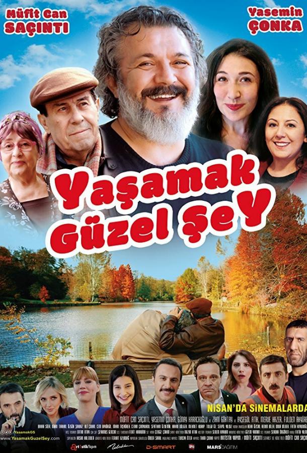 Постер к Жить прекрасно (2017)