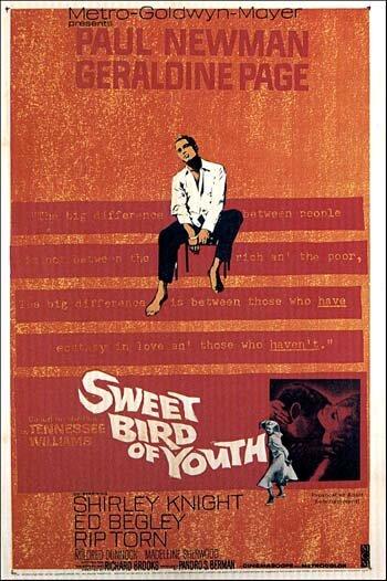 Постер к Сладкоголосая птица юности (1962)