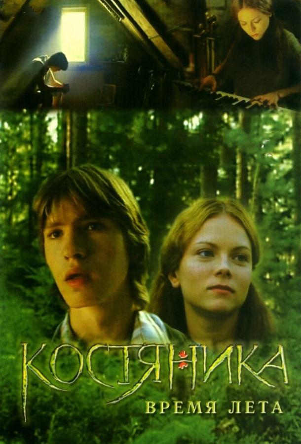 Постер к КостяНика. Время лета (2006)