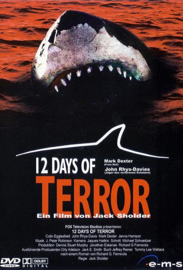 Постер к 12 дней страха (2004)