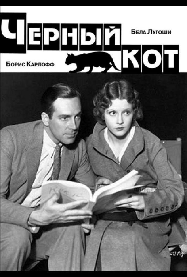 Постер к Черный кот (1934)
