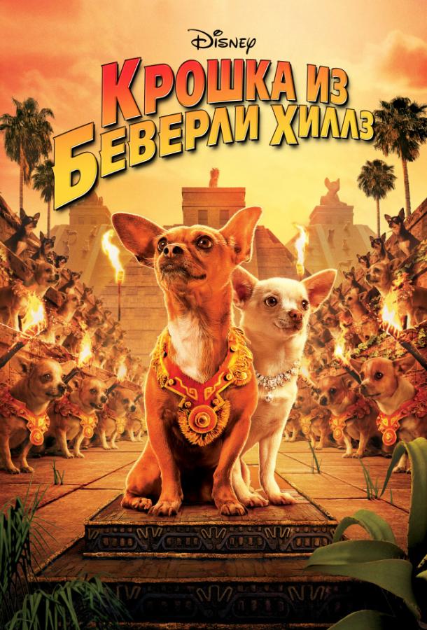 Постер к Крошка из Беверли-Хиллз (2008)
