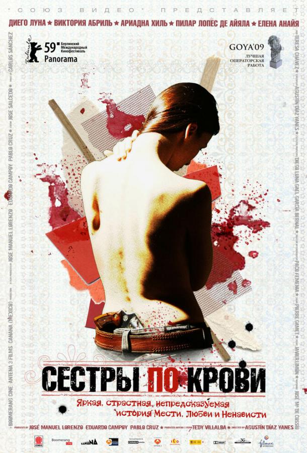Постер к Сестры по крови (2008)