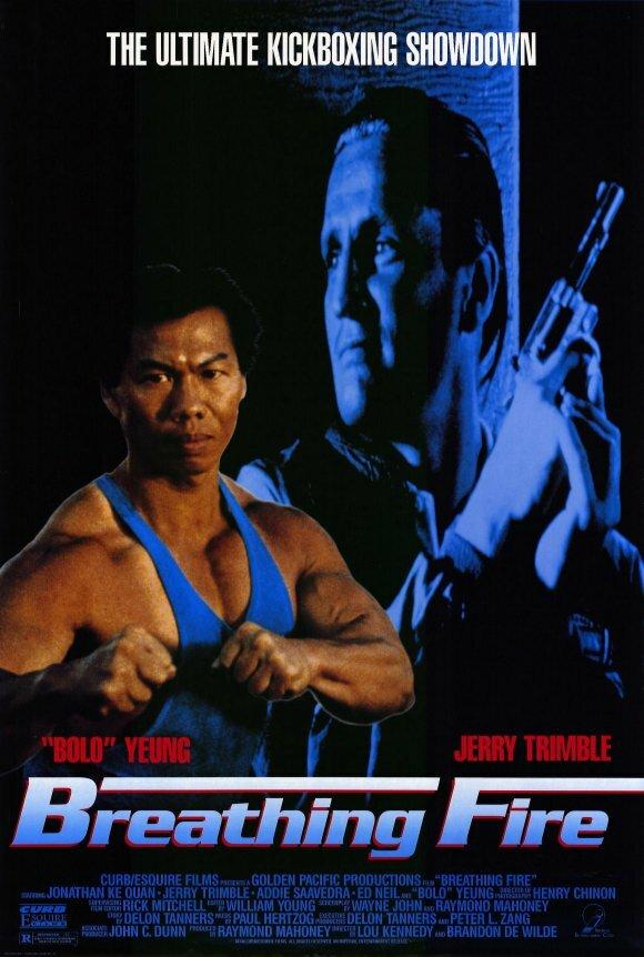 Постер к Огнедышащий (1991)