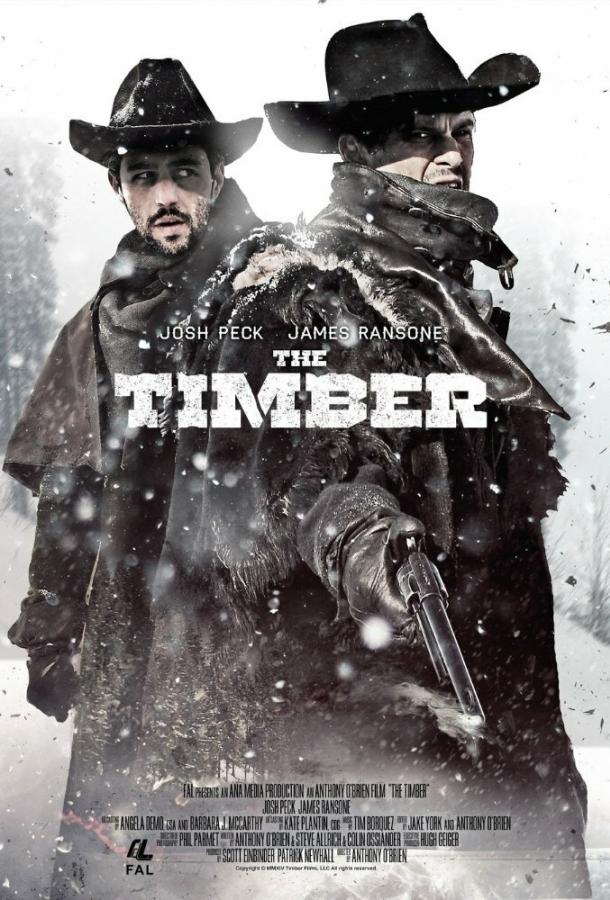 Постер к Достоинство (2015)
