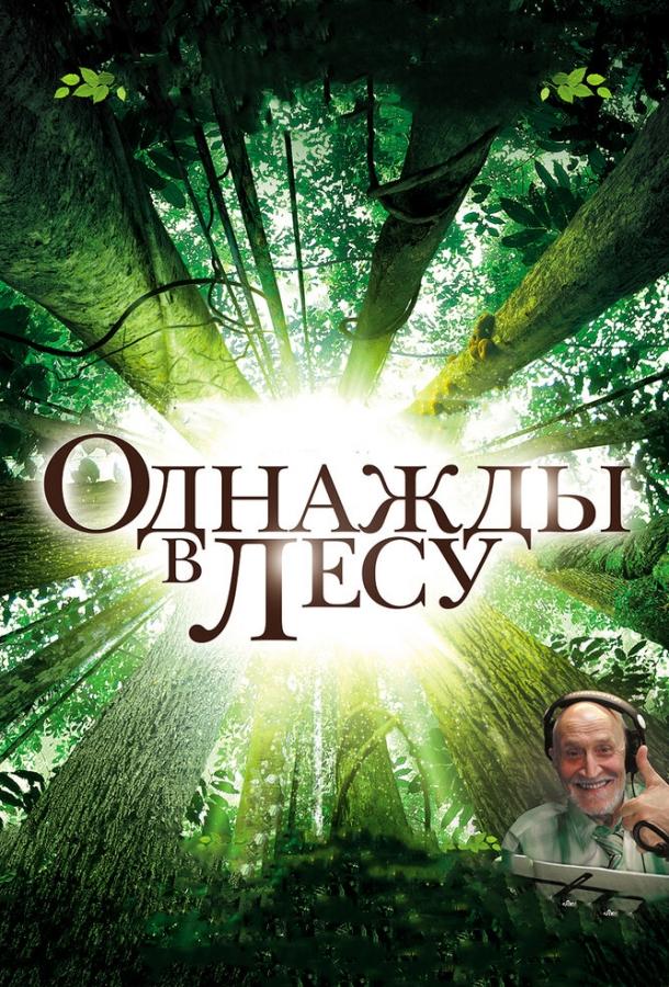 Постер к Однажды в лесу (2013)