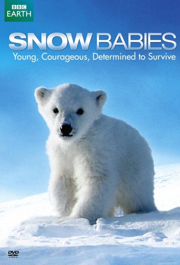 Постер к Дети снегов (2012)