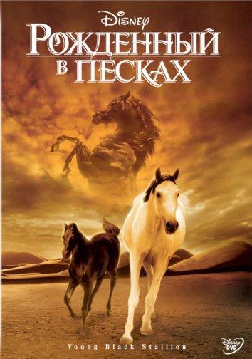 Постер к Рожденный в песках (2003)