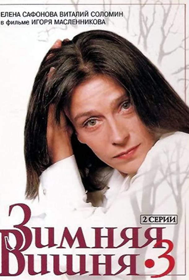 Постер к Зимняя вишня 3 (1995)