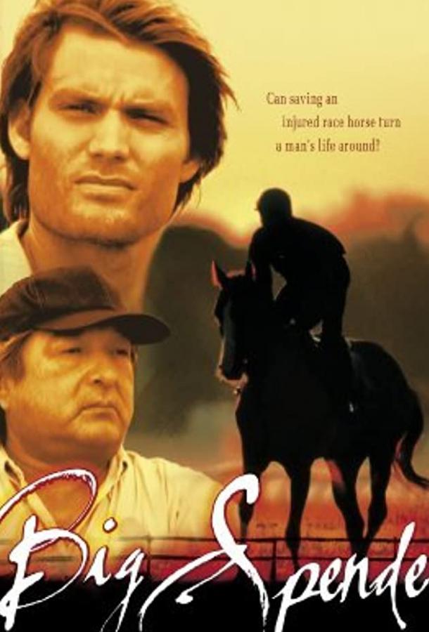 Постер к Возвращение чемпиона (ТВ) (2003)