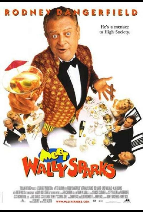 Постер к Познакомьтесь с Уолли Спарксом (1996)